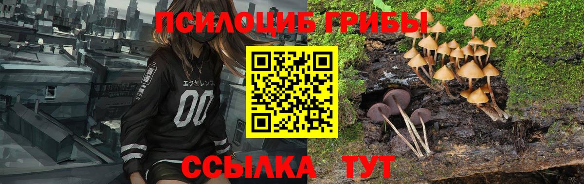 Галлюциногенные грибы ЛСД Знаменск