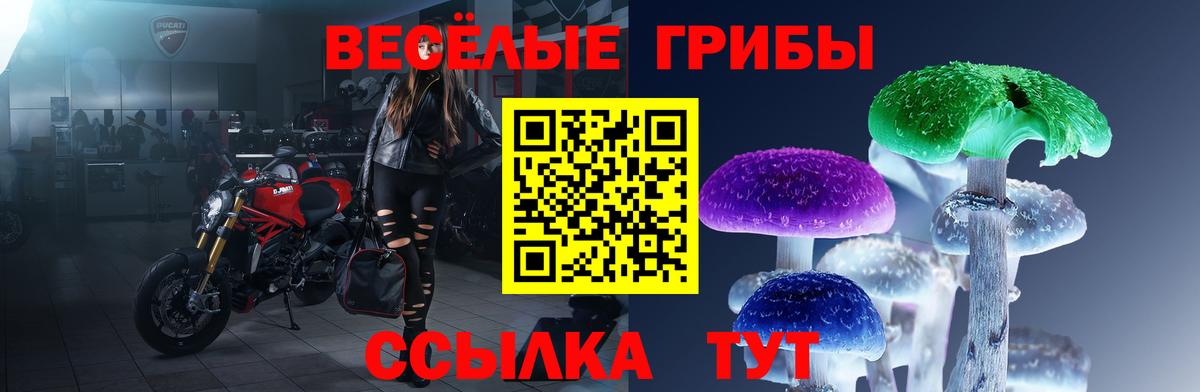 Псилоцибиновые грибы мицелий  что такое наркотик  Знаменск  Вход с VPN  Галлюциногенные грибы прущие грибы 